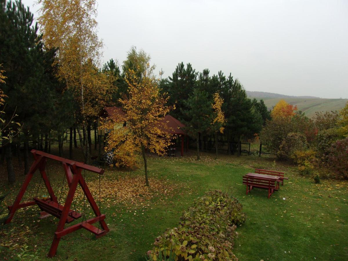 Agroturystyka U Basi Wola Kalinowska 外观 照片